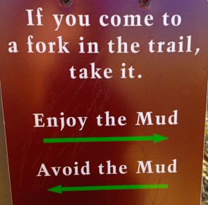 if you come to a fork in the trail, take it