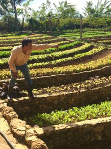 Fernando R. Funes Monzote, Ph.D. agroecologist, shares his organic farming methods and philosophies at Finca Marta, his model organic farm west of Havana, Cuba